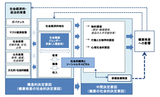 図1　健康の社会的決定要因に関する概念的枠組み