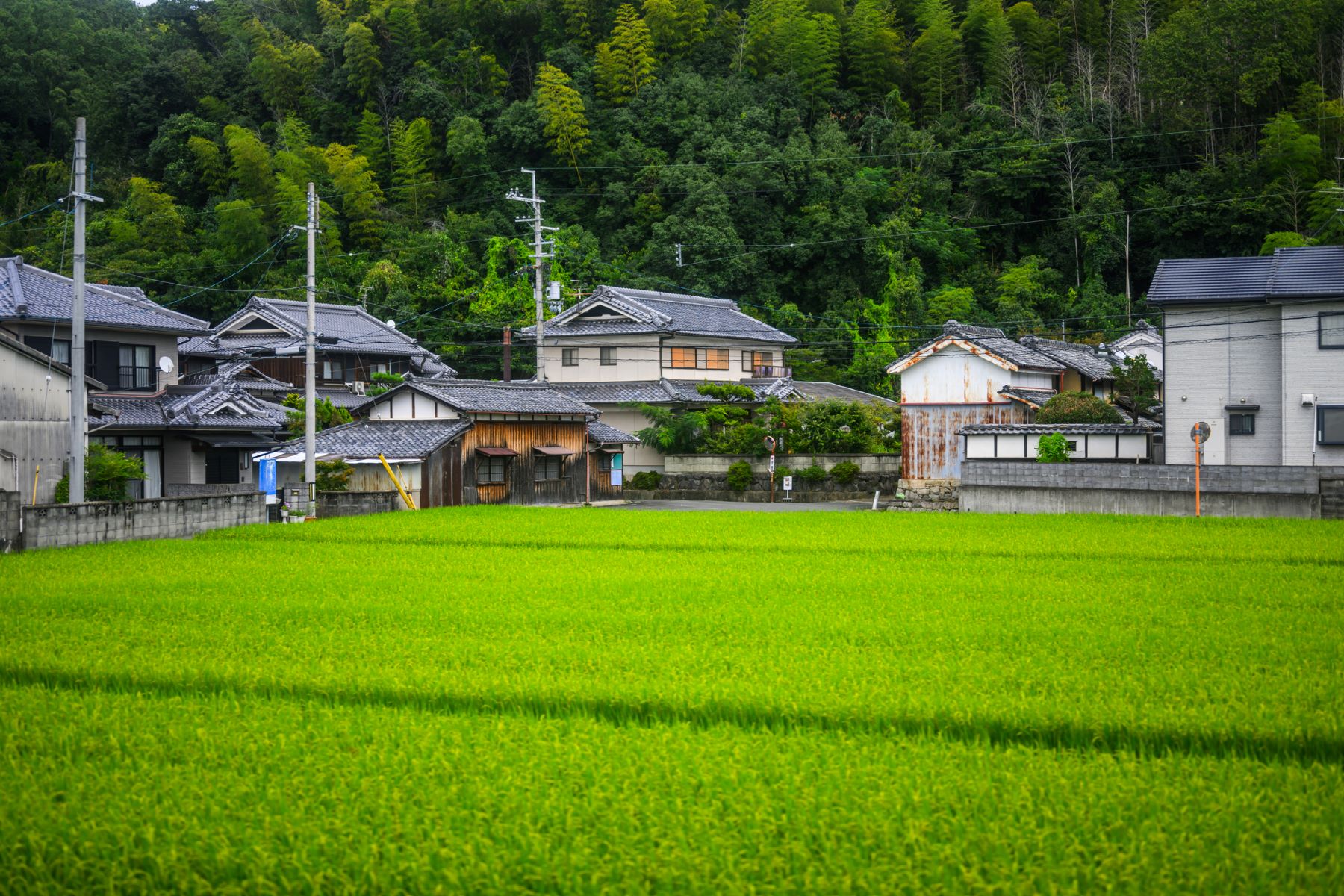 市町村における空き家対策と課題