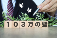 年収の二つの壁－どう向き合うか